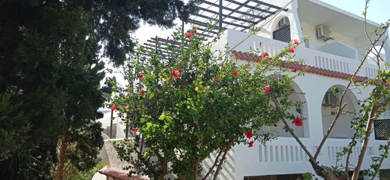 Afroditi Hotel 플라키아스 외부 사진